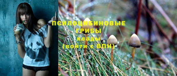 СК Абаза