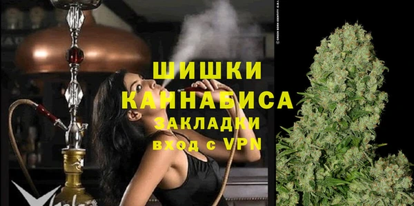 тгк Касимов